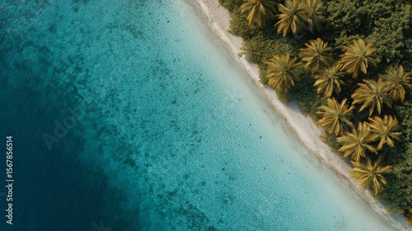 Fototapeta Tropical beach, aerial view