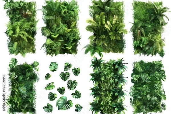 Obraz Premium Quality Visual of Set of Green Garden Walls From Tropical Plants, Cut Out