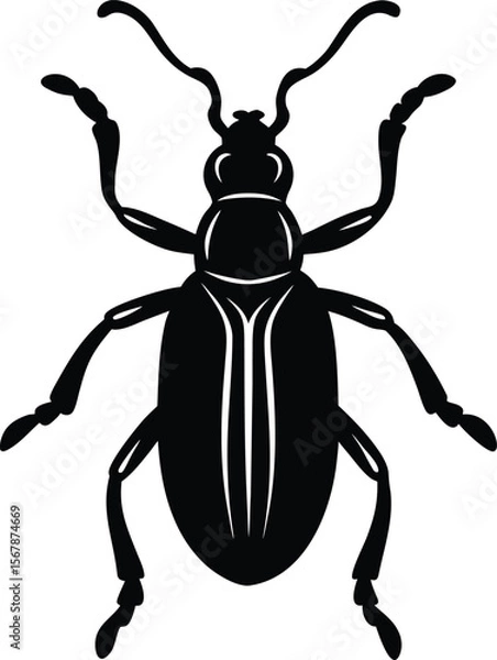 Obraz weevil on white background.eps