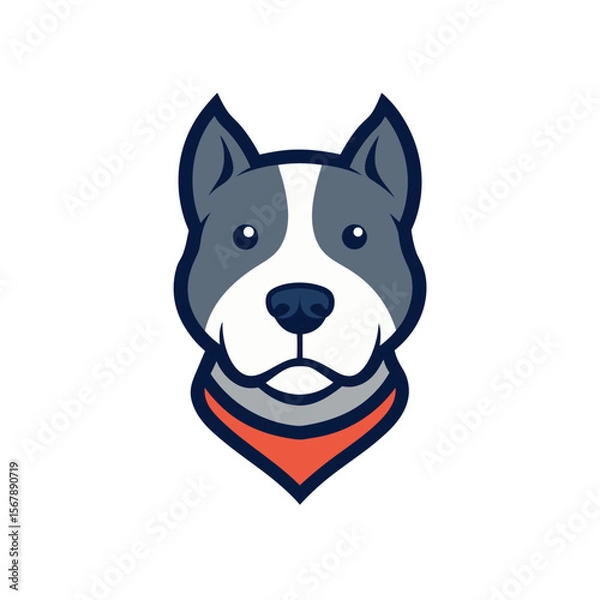 Fototapeta An Aggressive Pitbull Dog Head Mascot Logo with a Plain Collar for a Company