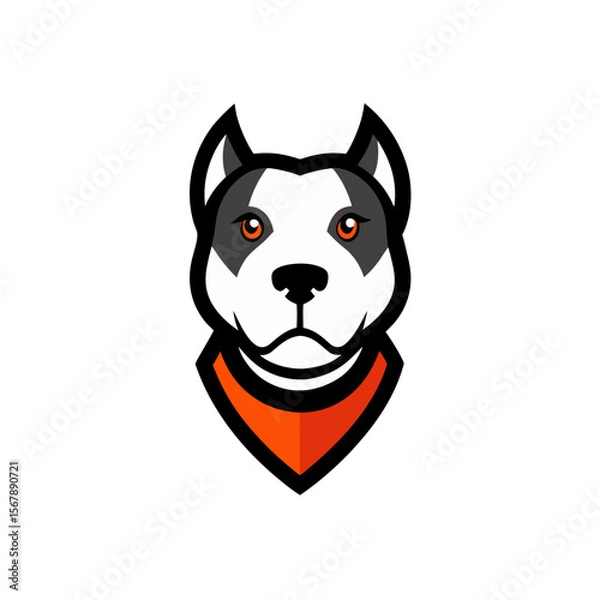 Fototapeta A Fierce Pitbull Dog Head Mascot Logo with a Collar for a Sports Team Brand