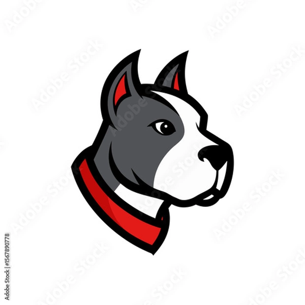 Fototapeta A Strong Pitbull Dog Head Mascot Logo with a Spiked Collar for Security Firms