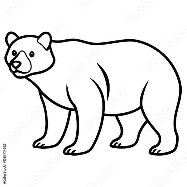 Fototapeta White Vector Sketch Spectacled Bear