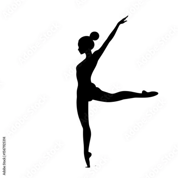 Obraz Silhouette of a ballerina en pointe, showcasing elegance and grace, ideal for dance-related themes and promotions