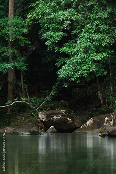 Fototapeta Beautiful nature landscape, lush green, river and forest. Conceptual Image for the environment and sustainable environmental restoration. Nature background, outdoor vertical