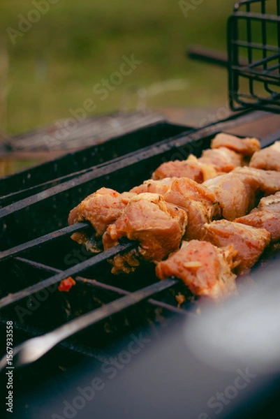 Obraz meat on the grill