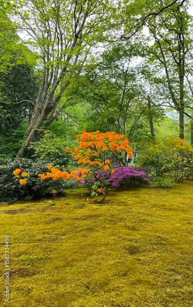 Obraz Garden Spring Park Old Vintage Japanese Holland Netherlands The Hague