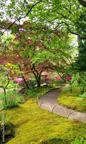 Obraz Garden Spring Park Old Vintage Japanese Holland Netherlands The Hague