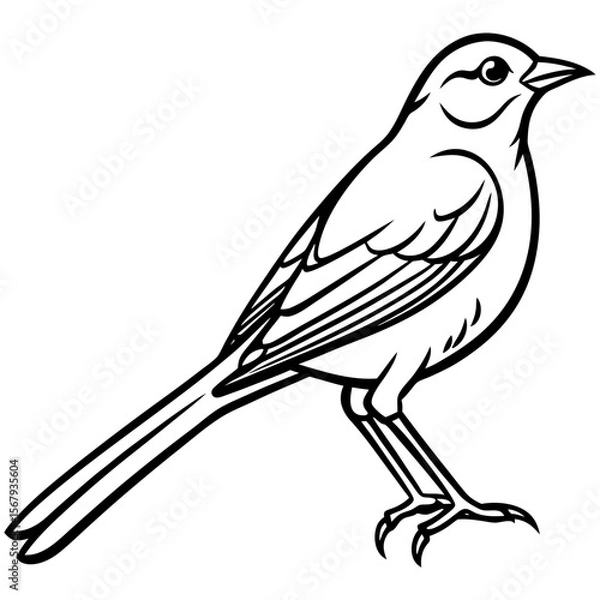 Obraz Yellowhammer Bird Sketch Vector Linework