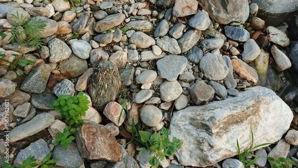 Fototapeta Serene Riverbed Stones: Natural Texture, Green Plants, Tranquil Mood, High-Resolution Stock Photo