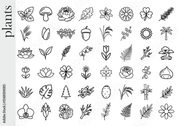 Fototapeta Assorted botanical illustrations of plants, flowers, and nature elements in black and white