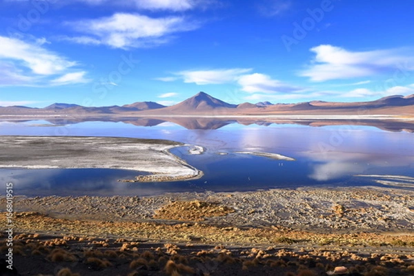Fototapeta Aerial view of Laguna Colorada with flamingos and mountain reflections, Bolivia
