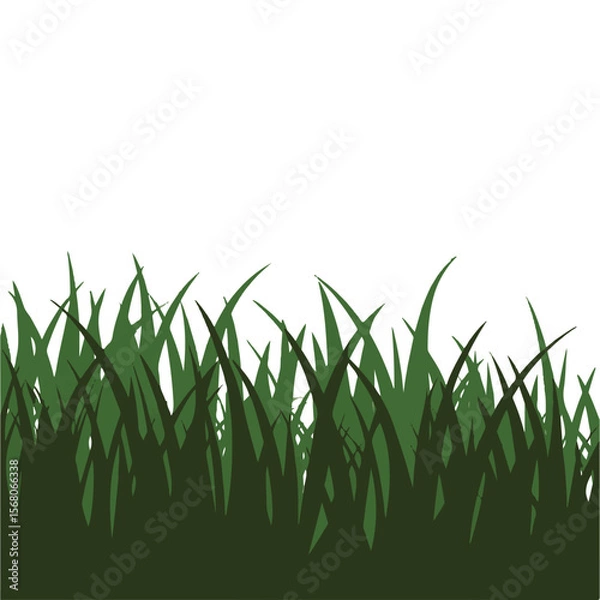 Fototapeta Silhouette of Grass and Plants