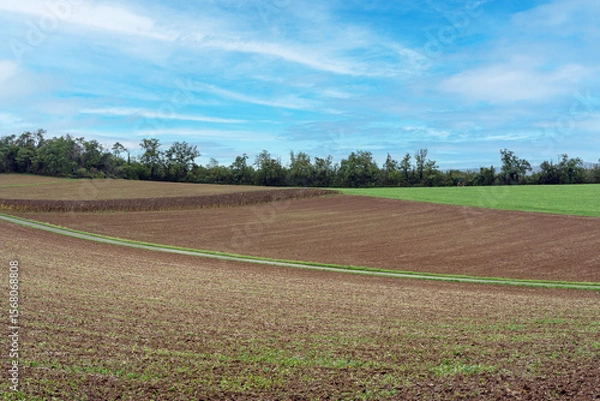 Obraz Landscape