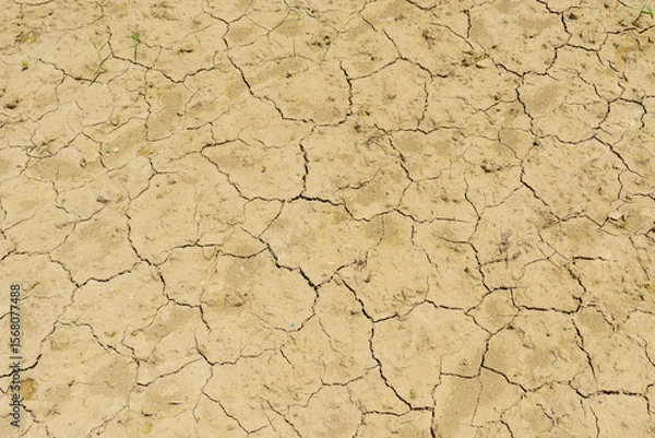 Obraz 日照り続きでひび割れた地面