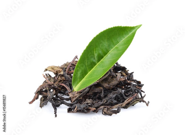 Obraz Tea dry and fresh green tea leaves isolated on white background
