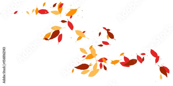 Obraz Leaves. Yellow, red, orange, brown colors. Scattered autumn leaves Unusual abstract texture Vector