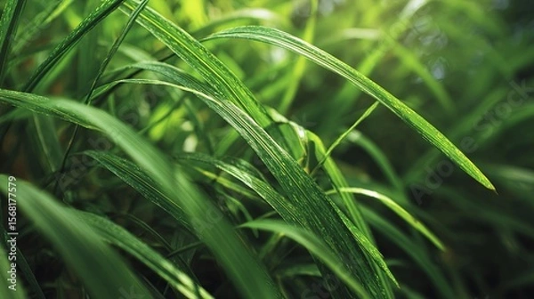 Fototapeta Fresh green grass blades with intricate texture, symbolizing nature's delicate beauty and vitality