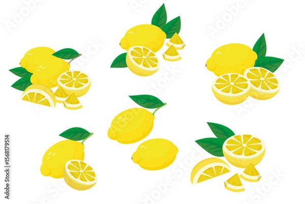 Fototapeta フレッシュな黄色いレモンのベクターイラスト。カットしたレモンと丸ごとのレモンの組み合わせのセット。