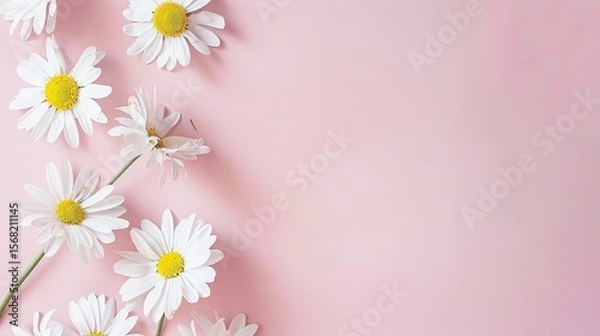 Obraz Minimalist White Daisy Chamomile on Pale Pink Background: Petal Contrast, Soft Aesthetic, and Floral Design Harmony