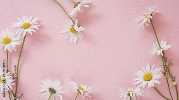Obraz Minimalist White Daisy Chamomile on Pale Pink Background: Petal Contrast, Soft Aesthetic, and Floral Design Harmony