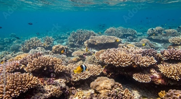 Obraz Ultra-Detailed Vibrant Coral Reef with Tropical Fish in Clear Water AI Generative