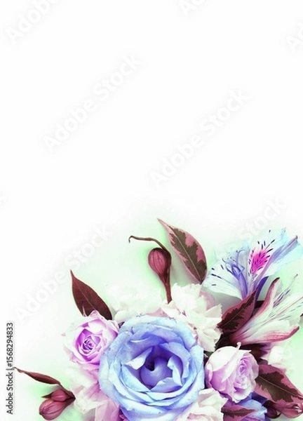 Fototapeta Bouquet of blue and pink roses on a white background with space for text.