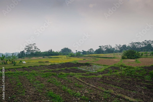 Obraz Serene Countryside Landscape with Farmlands and Vast Open Skies