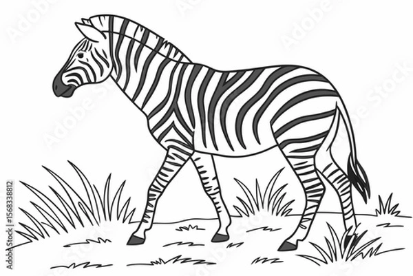 Fototapeta coloring page line art the zebra black vector