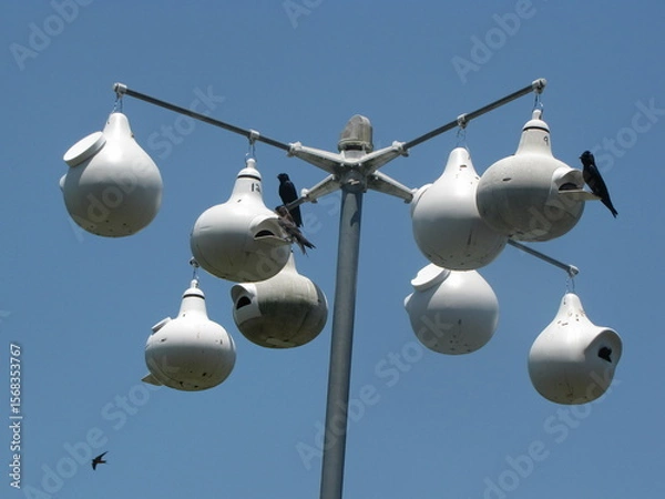 Obraz birdhouse with swallow