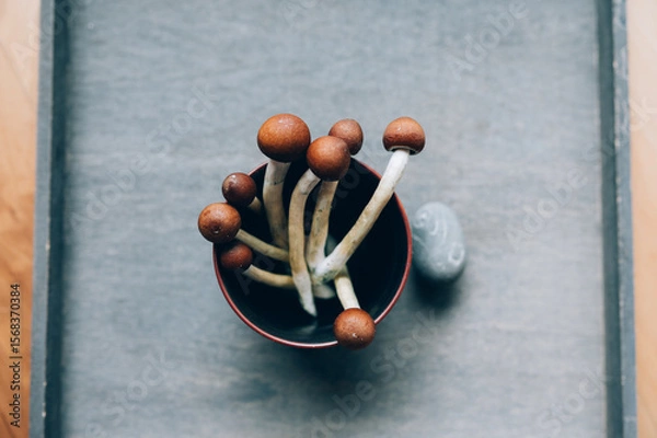 Fototapeta Shamanic Ritual with Entheogenic Mushrooms