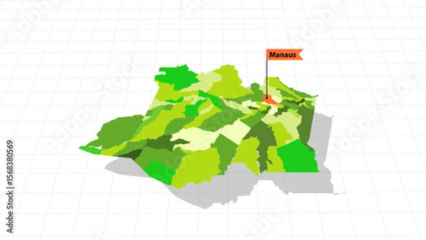 Fototapeta Amazonas 3D perspective vector map Brazil