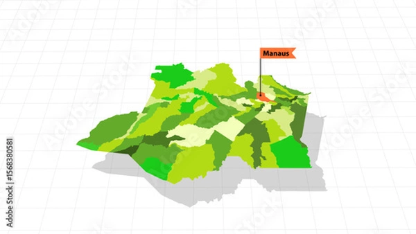 Fototapeta Amazonas 3D perspective vector map Brazil