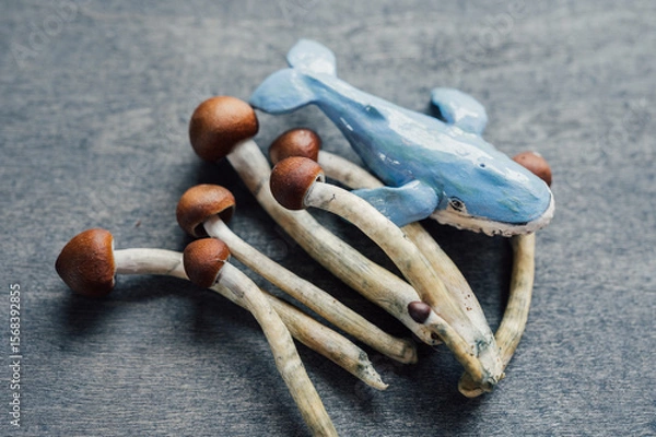 Fototapeta Subconscious Dive – Psilocybin Mushrooms and the  Whale Trip