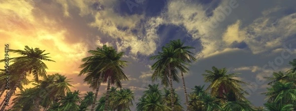 Fototapeta Sunset among palm trees, palm trees and sky, 3D rendering