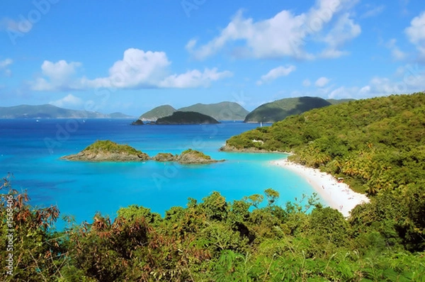 Obraz trunk bay