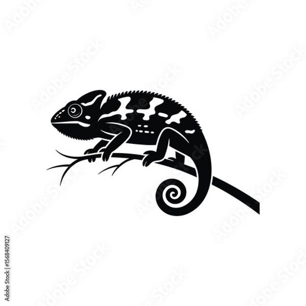 Obraz Chameleon vector silhouette