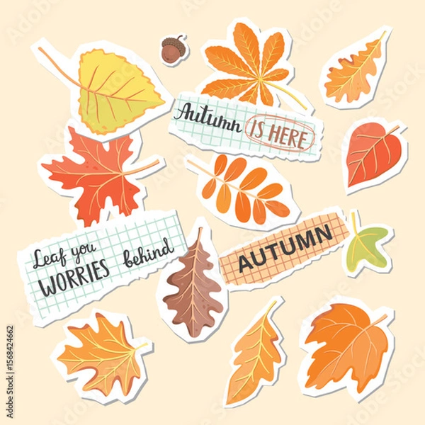 Fototapeta Autumn leaves and pieces of torn paper with text. Set of elements for collages. Cartoon objects with paper cut shapes. Orange,yellow, red, green and brown colors. Vector designs for banner, card.