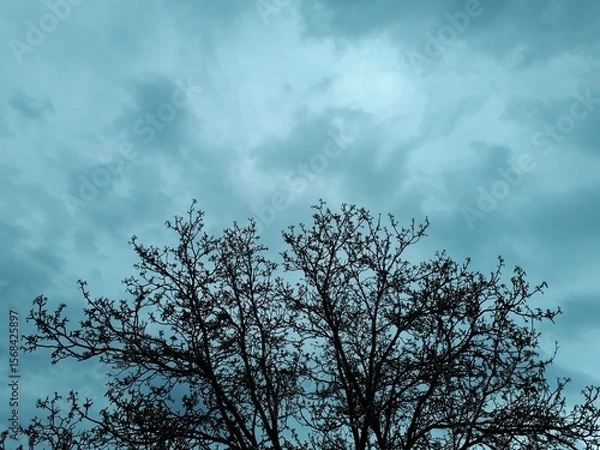 Obraz sky and clouds