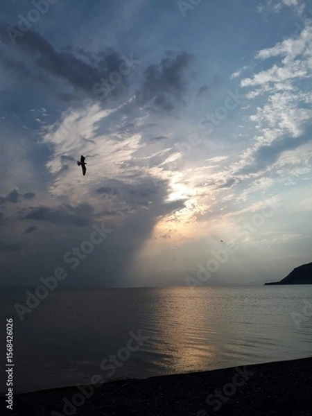 Obraz sunset over the sea