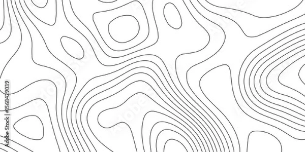 Fototapeta White wave paper curved reliefs abstract background. black and white background with swirling lines. geometric ripple patterns. Brown wood grain. fractal, dynamic, lines, vibrant, concentric wave. art