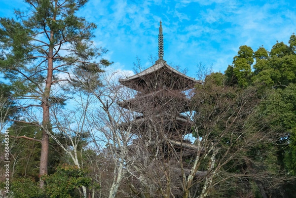 Fototapeta Majestic five-story wooden pagoda of Ninna-ji Temple rises tall amidst bare winter trees and evergreens, a striking example of classic Japanese Buddhist architecture against a soft blue sky in Kyoto.