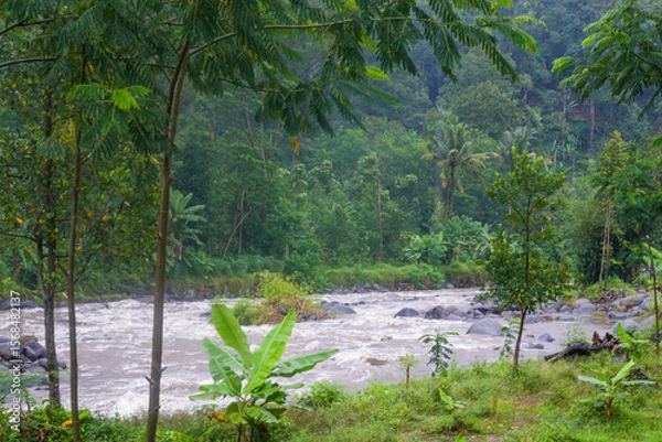 Obraz river in the forest