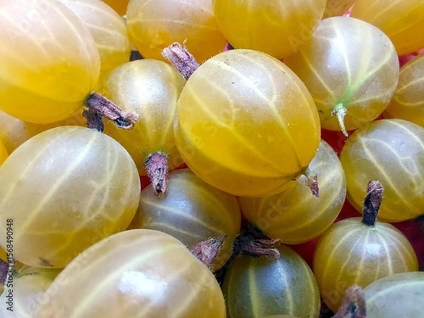 Obraz Fresh Gooseberry Berries Showcasing Unique Texture and Color in Outdoor Market Setting