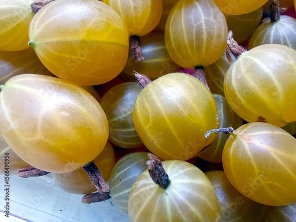 Fototapeta Fresh Gooseberry Berries Displayed in a Box Ready for Sale at the Local Market in Summer