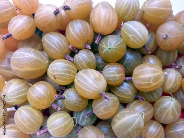 Obraz Freshly Harvested Gooseberry Berries Displayed in Abundance for Seasonal Enjoyment