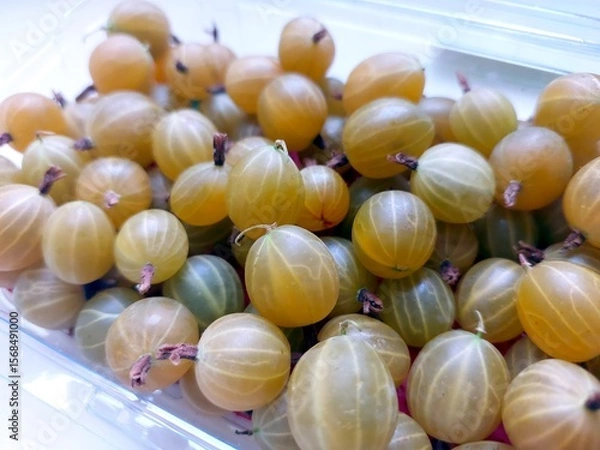 Fototapeta Fresh Gooseberry Berries Displayed in a Clear Container at a Local Market in Summer