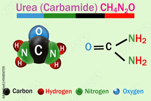 Obraz 3D illustration of the urea (carbamide) molecule, showing its CH4N2O structure. Urea is a colorless, odorless compound commonly used in fertilizers.