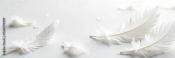 Fototapeta Delicate White Feathers Scattered on Pristine White Background Purity, Fragility, and Loss