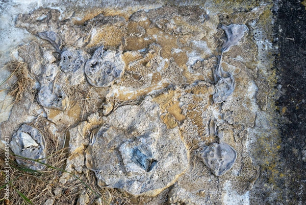 Obraz Cement and cement paste abstract texture background.